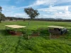 9091 Mitchell Highway, Wellington, NSW 2820-Image