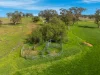 9091 Mitchell Highway, Wellington, NSW 2820-Image