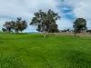 9091 Mitchell Highway, Wellington, NSW 2820-Image