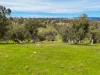 9091 Mitchell Highway, Wellington, NSW 2820-Image