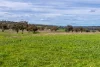9091 Mitchell Highway, Wellington, NSW 2820-Image