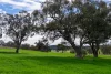 9091 Mitchell Highway, Wellington, NSW 2820-Image