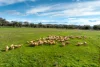 9091 Mitchell Highway, Wellington, NSW 2820-Image