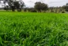 9091 Mitchell Highway, Wellington, NSW 2820-Image