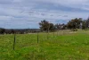 9091 Mitchell Highway, Wellington, NSW 2820-Image
