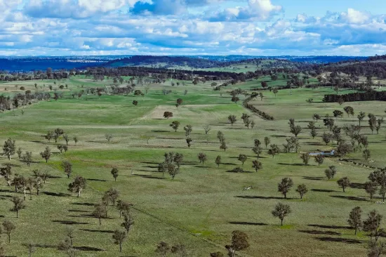 91 Gill Road, Walcha, NSW 2354
