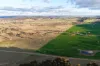 91 Gill Road, Walcha, NSW 2354-Image