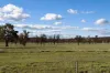 91 Gill Road, Walcha, NSW 2354-Image