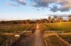 91 Gill Road, Walcha, NSW 2354-Image