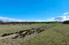 91 Gill Road, Walcha, NSW 2354-Image