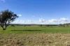 91 Gill Road, Walcha, NSW 2354-Image