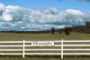 91 Gill Road, Walcha, NSW 2354-Image