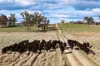 91 Gill Road, Walcha, NSW 2354-Image