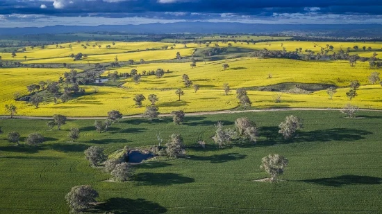 91 Kenny's Lane, Lyndhurst, NSW 2350 - For Sale