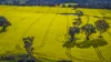 91 Kenny's Lane, Lyndhurst, NSW 2350-Image
