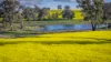91 Kenny's Lane, Lyndhurst, NSW 2350-Image