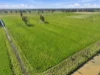 91 Ryan Road, Merrigum, Vic 3618-Image