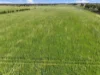 91 Ryan Road, Merrigum, Vic 3618-Image