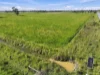 91 Ryan Road, Merrigum, Vic 3618-Image