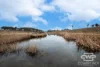 916 Emmaville Road, Glen Innes, NSW 2370-Image