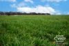 916 Emmaville Road, Glen Innes, NSW 2370-Image