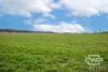 916 Emmaville Road, Glen Innes, NSW 2370-Image