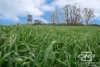916 Emmaville Road, Glen Innes, NSW 2370-Image