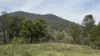 921 Cannon Creek Rd, Cannon Creek, Qld 4310-Image