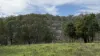 921 Cannon Creek Rd, Cannon Creek, Qld 4310-Image