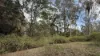 921 Cannon Creek Rd, Cannon Creek, Qld 4310-Image