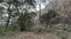 921 Cannon Creek Rd, Cannon Creek, Qld 4310-Image