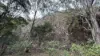 921 Cannon Creek Rd, Cannon Creek, Qld 4310-Image