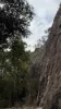 921 Cannon Creek Rd, Cannon Creek, Qld 4310-Image