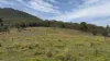 921 Cannon Creek Rd, Cannon Creek, Qld 4310-Image