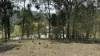 921 Cannon Creek Rd, Cannon Creek, Qld 4310-Image