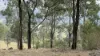 921 Cannon Creek Rd, Cannon Creek, Qld 4310-Image