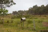 921 Cannon Creek Road, Cannon Creek, Qld 4310-Image