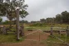 921 Cannon Creek Road, Cannon Creek, Qld 4310-Image