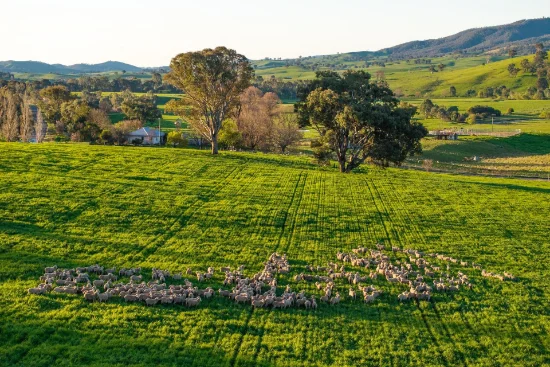 922 Westbrook Road, Oberne Creek, NSW 2650
