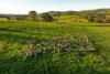 922 Westbrook Road, Oberne Creek, NSW 2650-Image