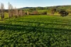 922 Westbrook Road, Oberne Creek, NSW 2650-Image