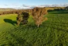 922 Westbrook Road, Oberne Creek, NSW 2650-Image