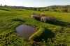 922 Westbrook Road, Oberne Creek, NSW 2650-Image