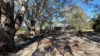 933 Hunter Road, Orange Springs, WA 6503-Image