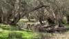 933 Hunter Road, Orange Springs, WA 6503-Image