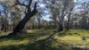 933 Hunter Road, Orange Springs, WA 6503-Image