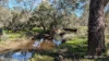 933 Hunter Road, Orange Springs, WA 6503-Image