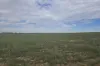 942 Baumgurtel Road, Wynarka, SA 5306