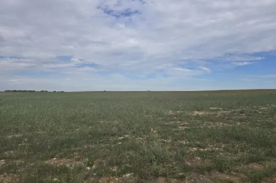 942 Baumgurtel Road, Wynarka, SA 5306