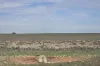 942 Baumgurtel Road, Wynarka, SA 5306-Image